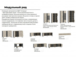 Гостиная Отис Дуб Крафт Серый/Антрацит в Снежинске - snezhinsk.magazinmebel.ru | фото - изображение 5