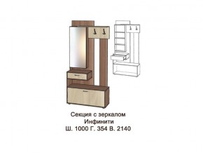 Секция с зеркалом в Снежинске - snezhinsk.magazinmebel.ru | фото