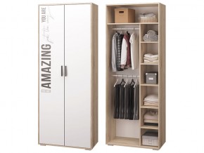 Шкаф для одежды в Снежинске - snezhinsk.magazinmebel.ru | фото